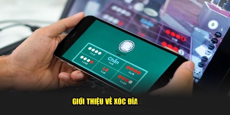 Khám phá về quy luật bắt cầu xóc đĩa